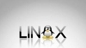 linux svn创建版本库-[转载]